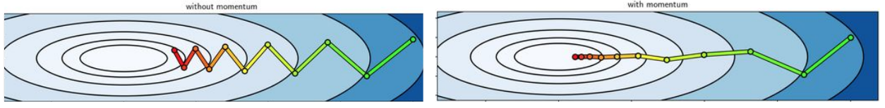 Example of algo with and without momentum